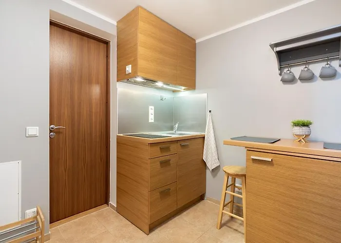 Apartment Rueuetli In Old Town Tartu