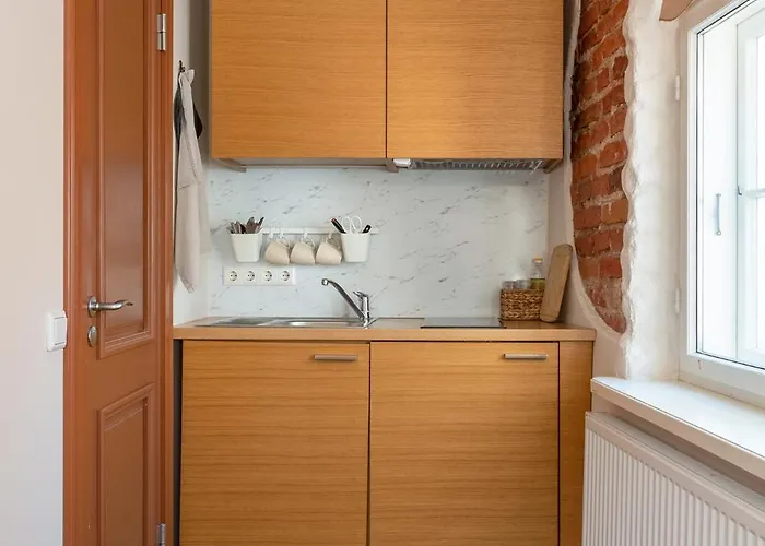 Apartment Rueuetli In Old Town Tartu